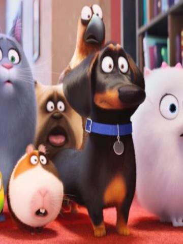 Đẳng Cấp Thú Cưng - The Secret Life of Pets 2016